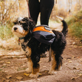 Adventurer 2-piece Dog Pack with Ez Latch™ Harness - Mile High