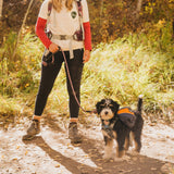 Adventurer 2-piece Dog Pack with Ez Latch™ Harness - Mile High