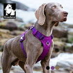 Truelove Waterproof Dog Harness Lightweight Durable  Reflective Adjustable For Small Large Dogs