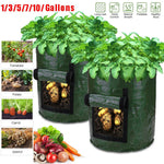 Potato Grow Bags - Black, Green, Orange and Yellow (Multiple Sizes)