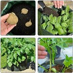 Potato Grow Bags - Black, Green, Orange and Yellow (Multiple Sizes)