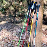 Collapsible Trekking Pole for Hiking with Storage Bag